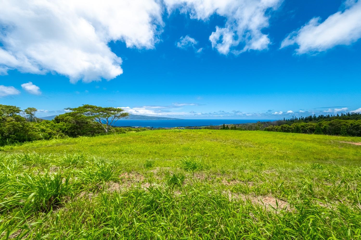 820 Mahana Ridge St Unit: Lot 49