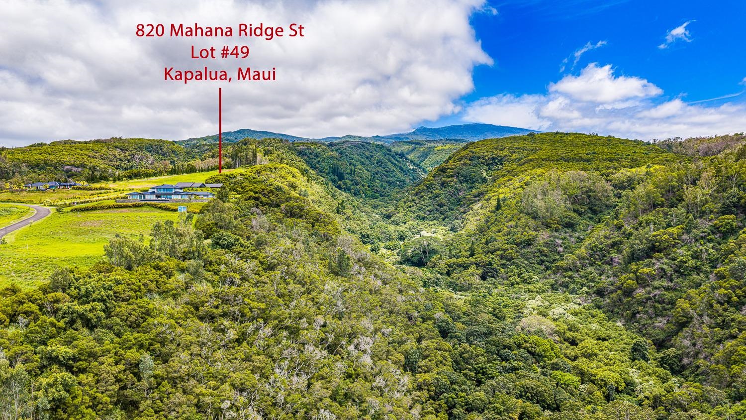 820 Mahana Ridge St Unit: Lot 49
