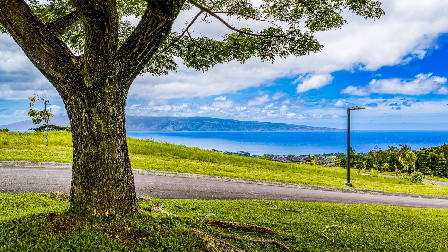 820 Mahana Ridge St Unit: Lot 49