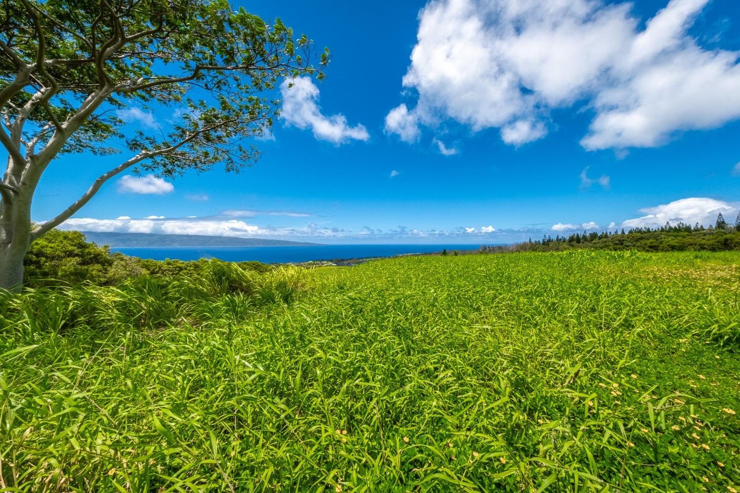 820 Mahana Ridge St Unit: Lot 49