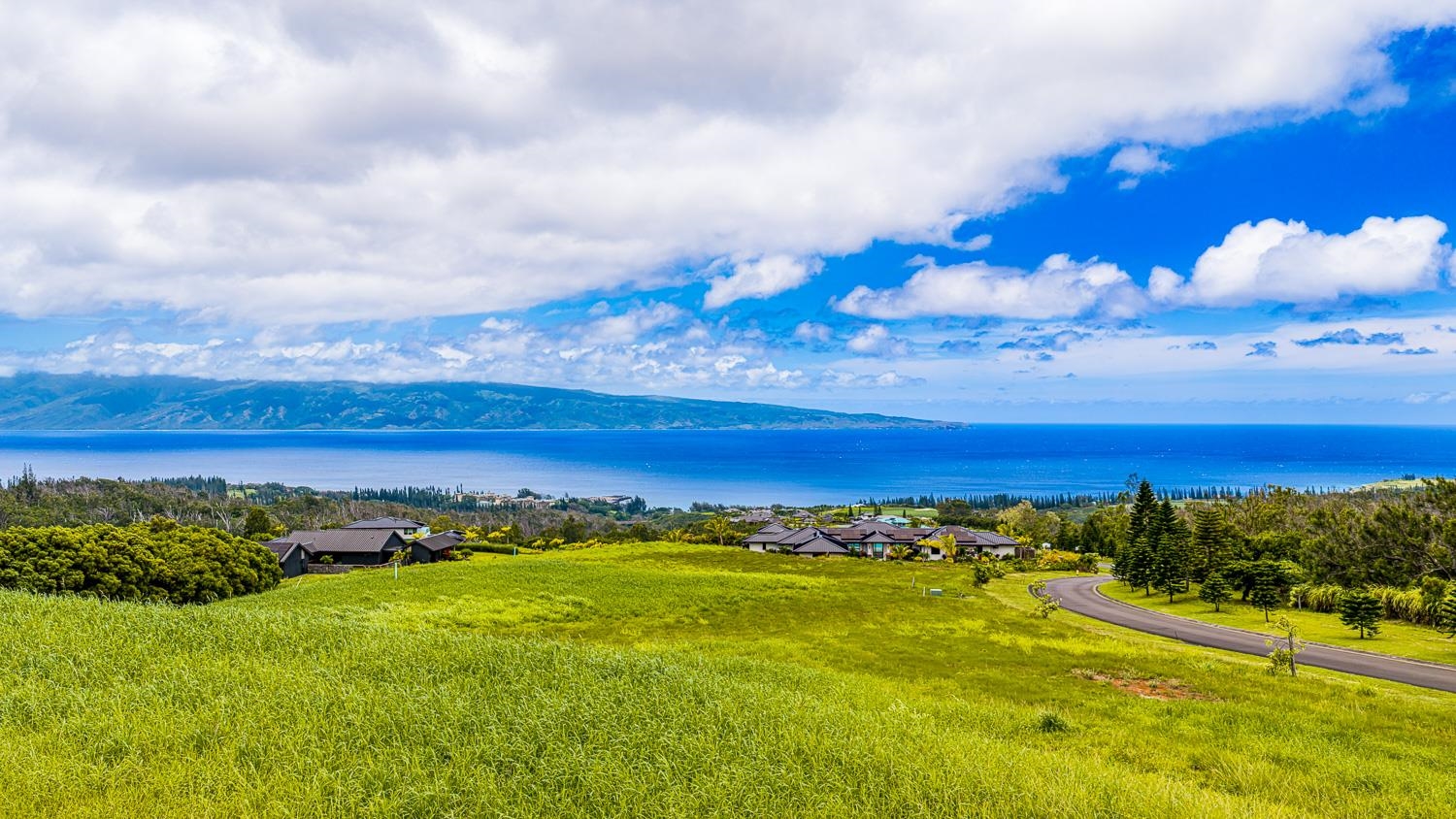 820 Mahana Ridge St Unit: Lot 49