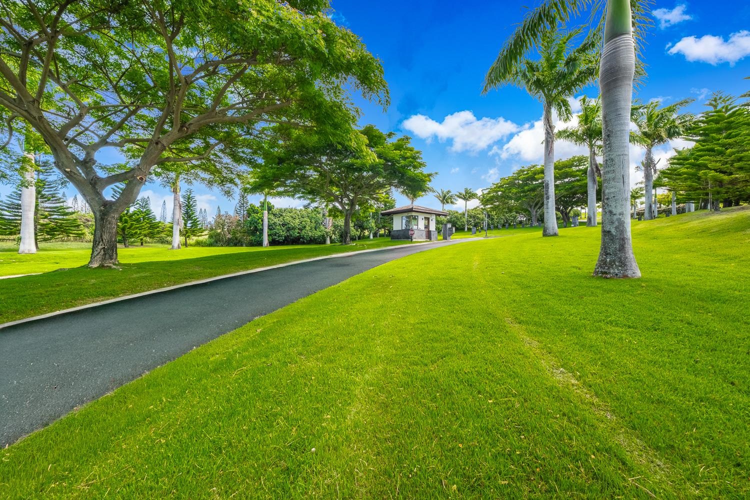 820 Mahana Ridge St Unit: Lot 49