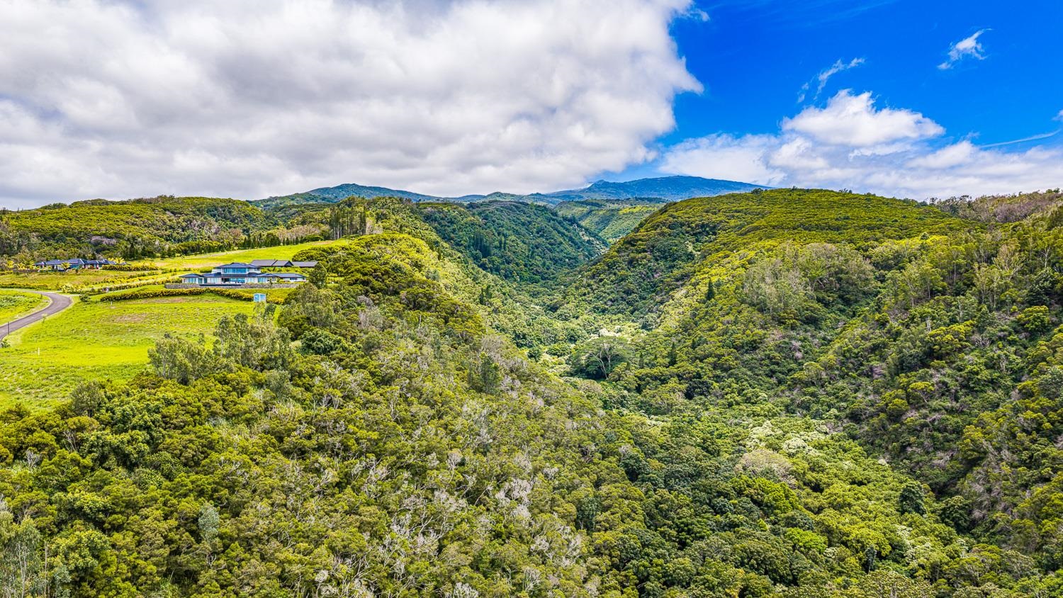 820 Mahana Ridge St Unit: Lot 49