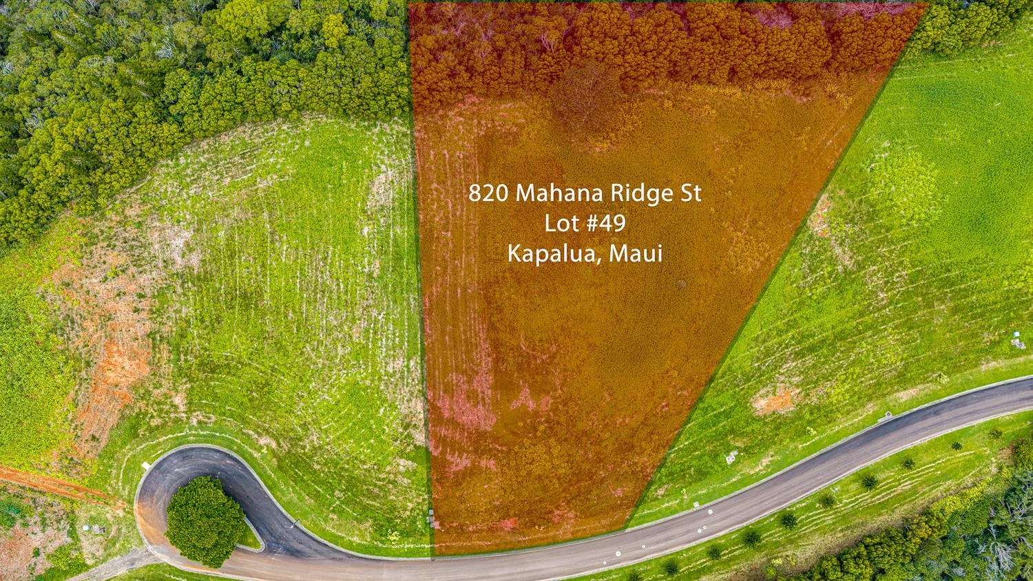 820 Mahana Ridge St Unit: Lot 49