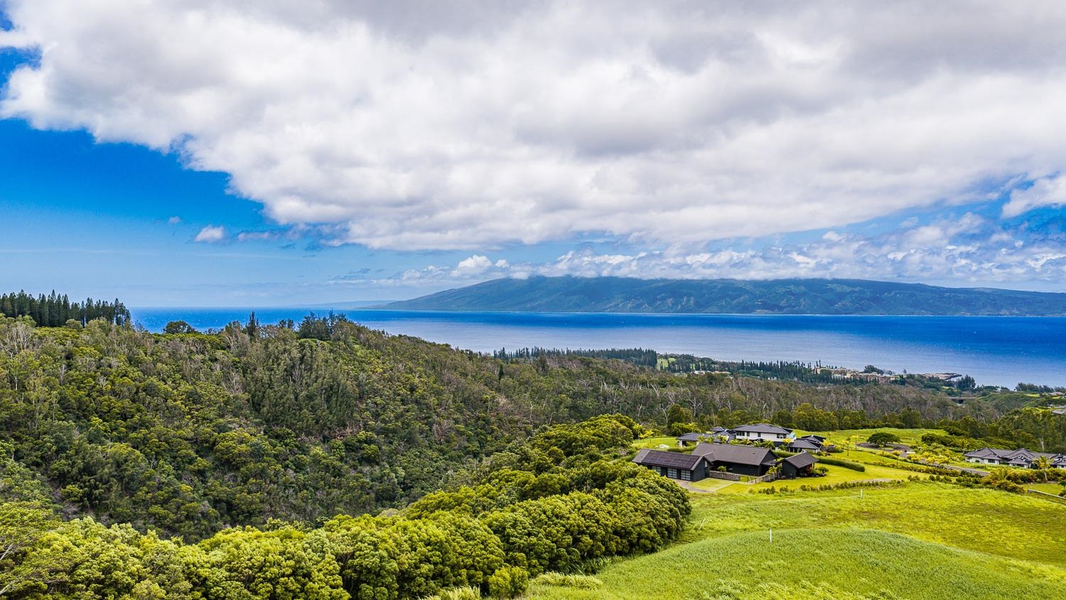 820 Mahana Ridge St Unit: Lot 49