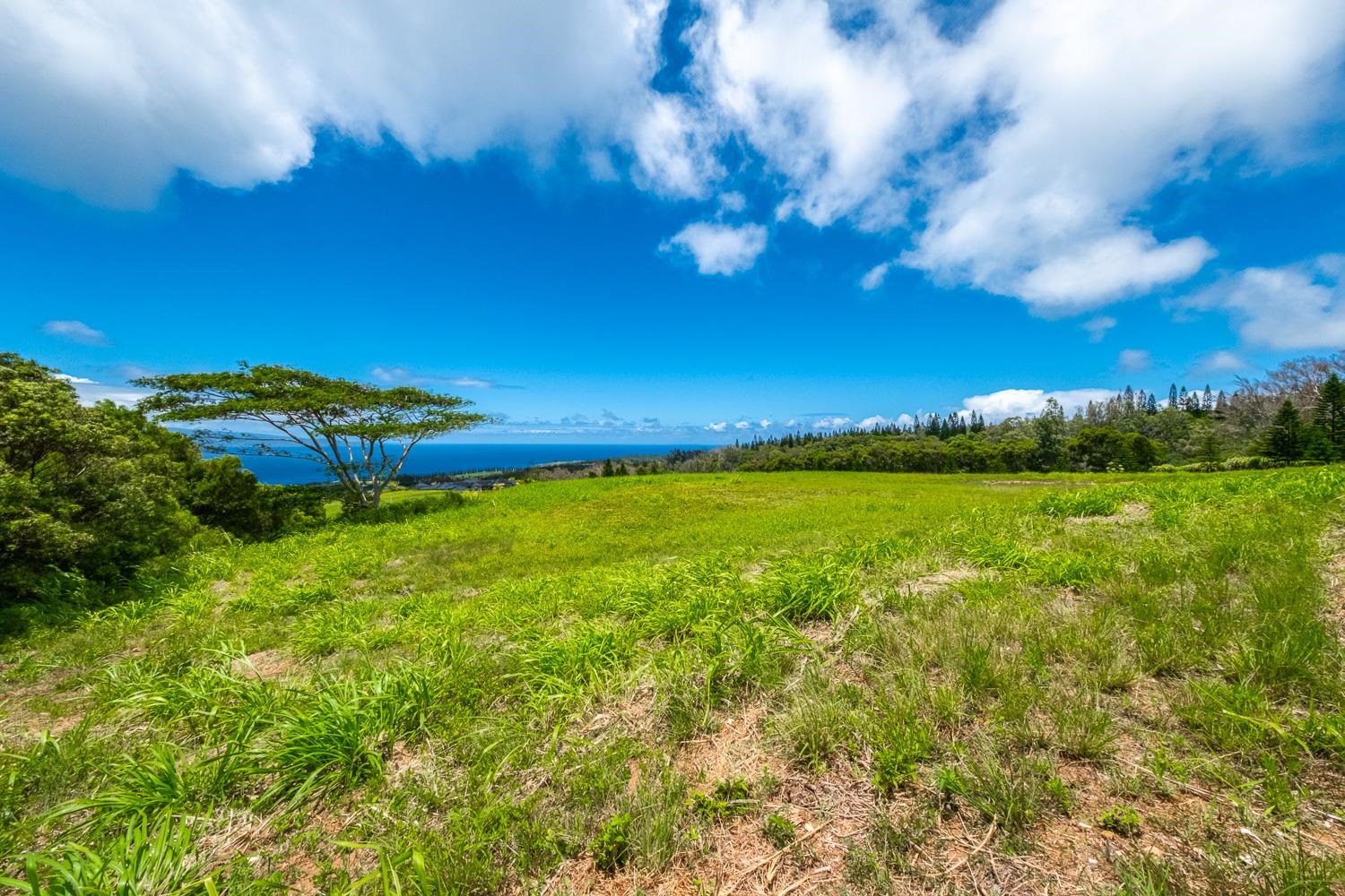 820 Mahana Ridge St Unit: Lot 49