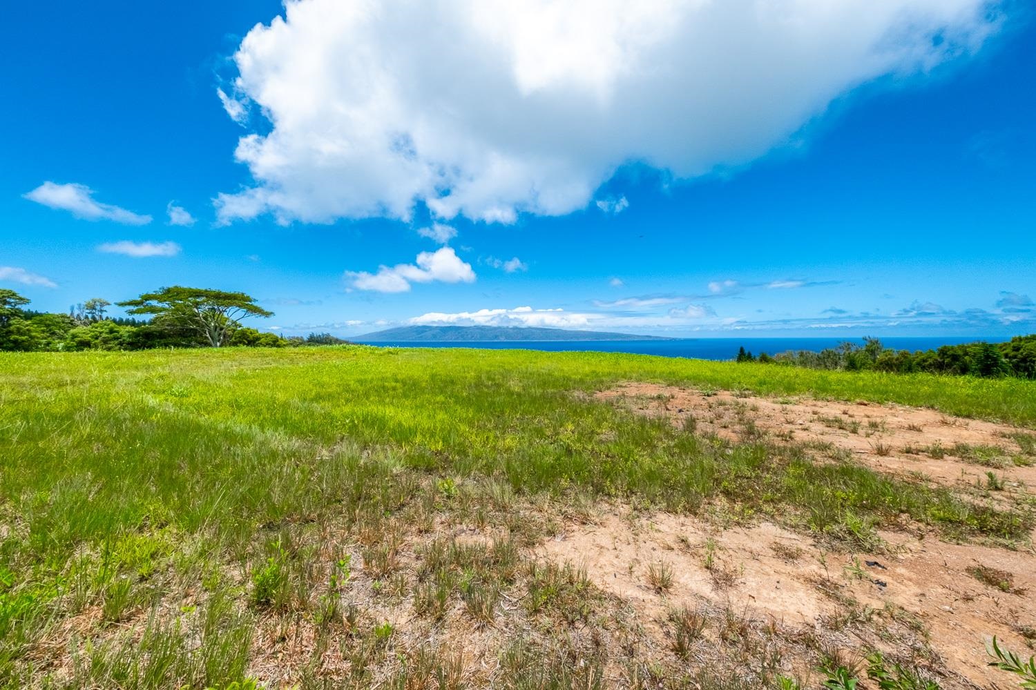 820 Mahana Ridge St Unit: Lot 49