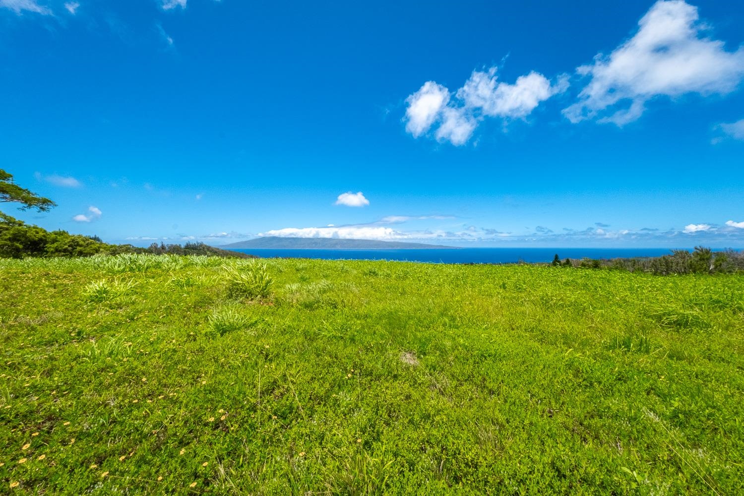 820 Mahana Ridge St Unit: Lot 49