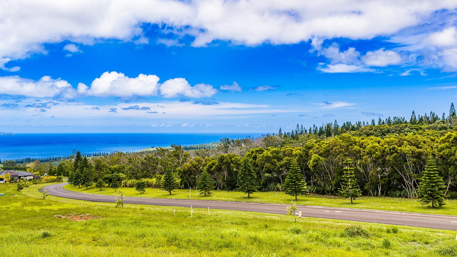820 Mahana Ridge St Unit: Lot 49