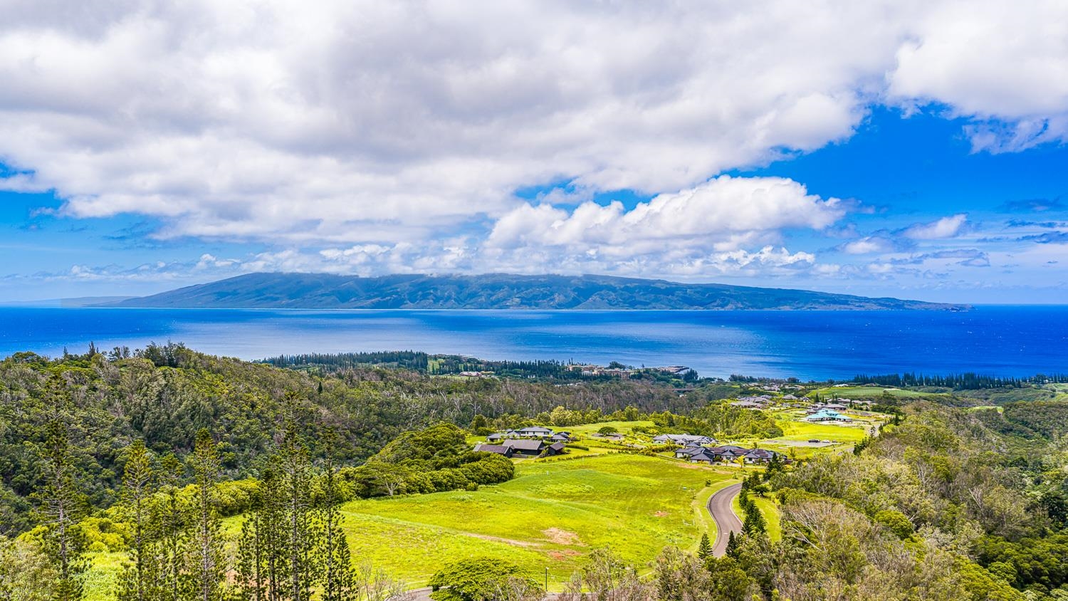 820 Mahana Ridge St Unit: Lot 49