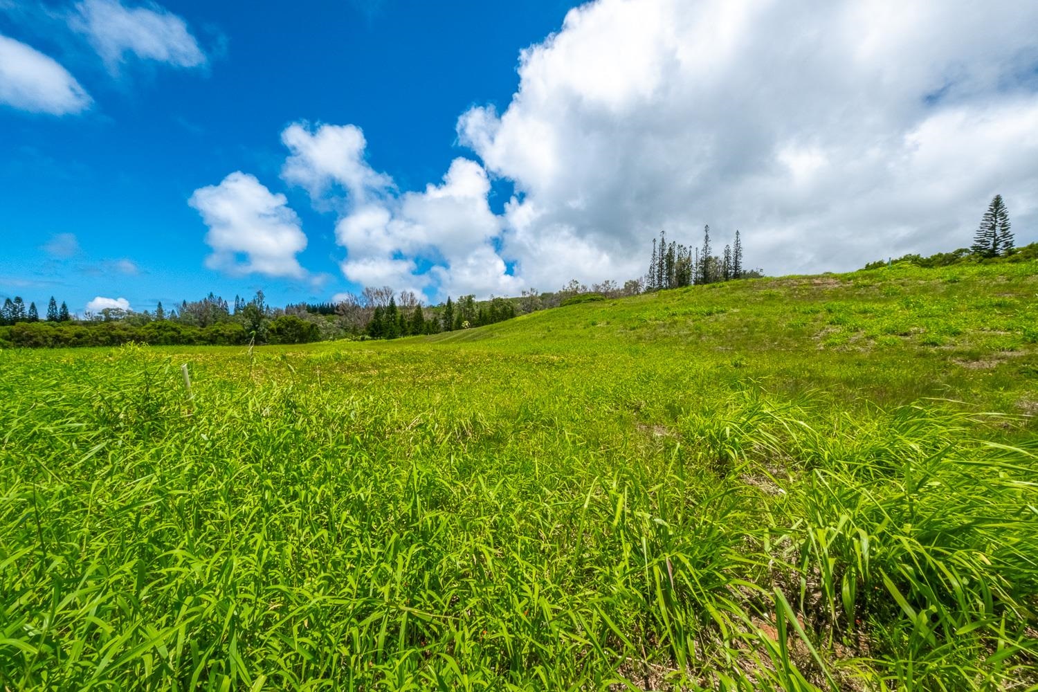 820 Mahana Ridge St Unit: Lot 49