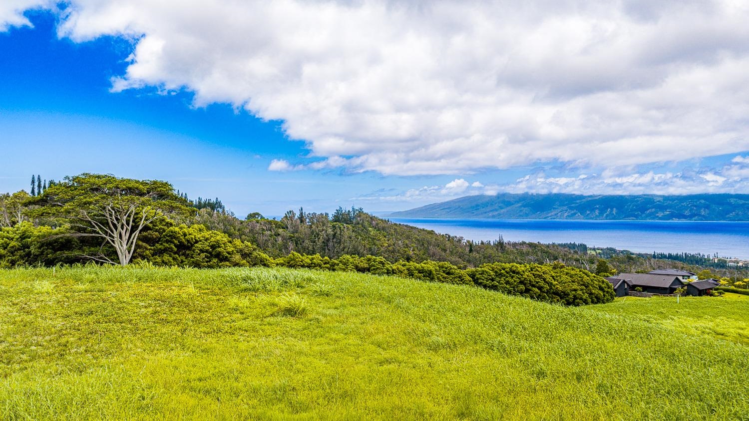 820 Mahana Ridge St Unit: Lot 49