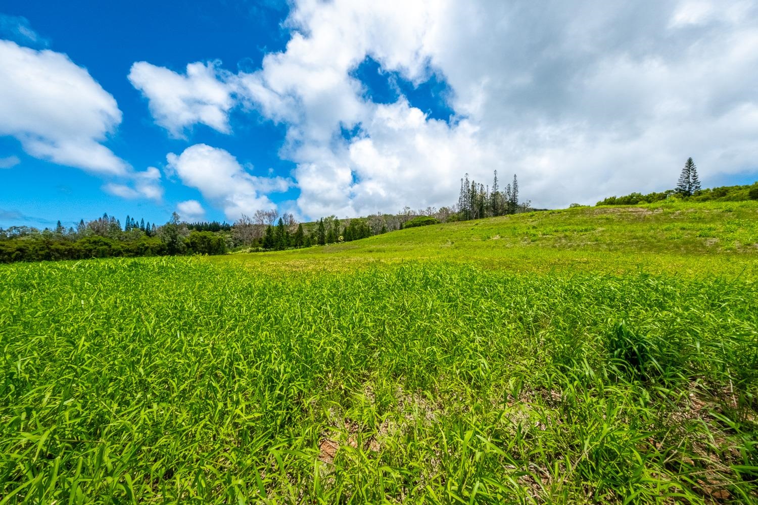 820 Mahana Ridge St Unit: Lot 49