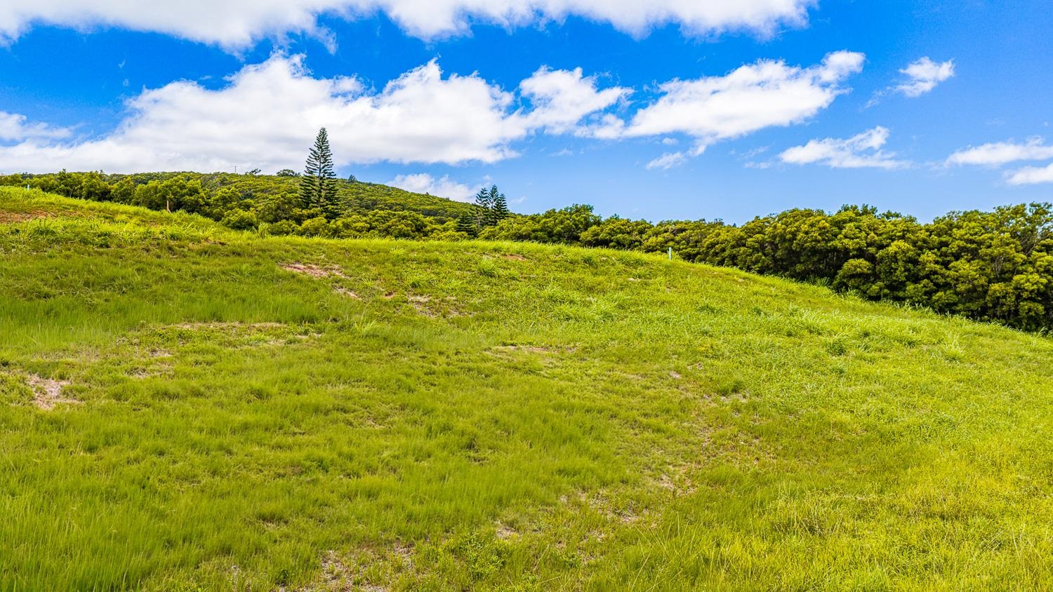 820 Mahana Ridge St Unit: Lot 49