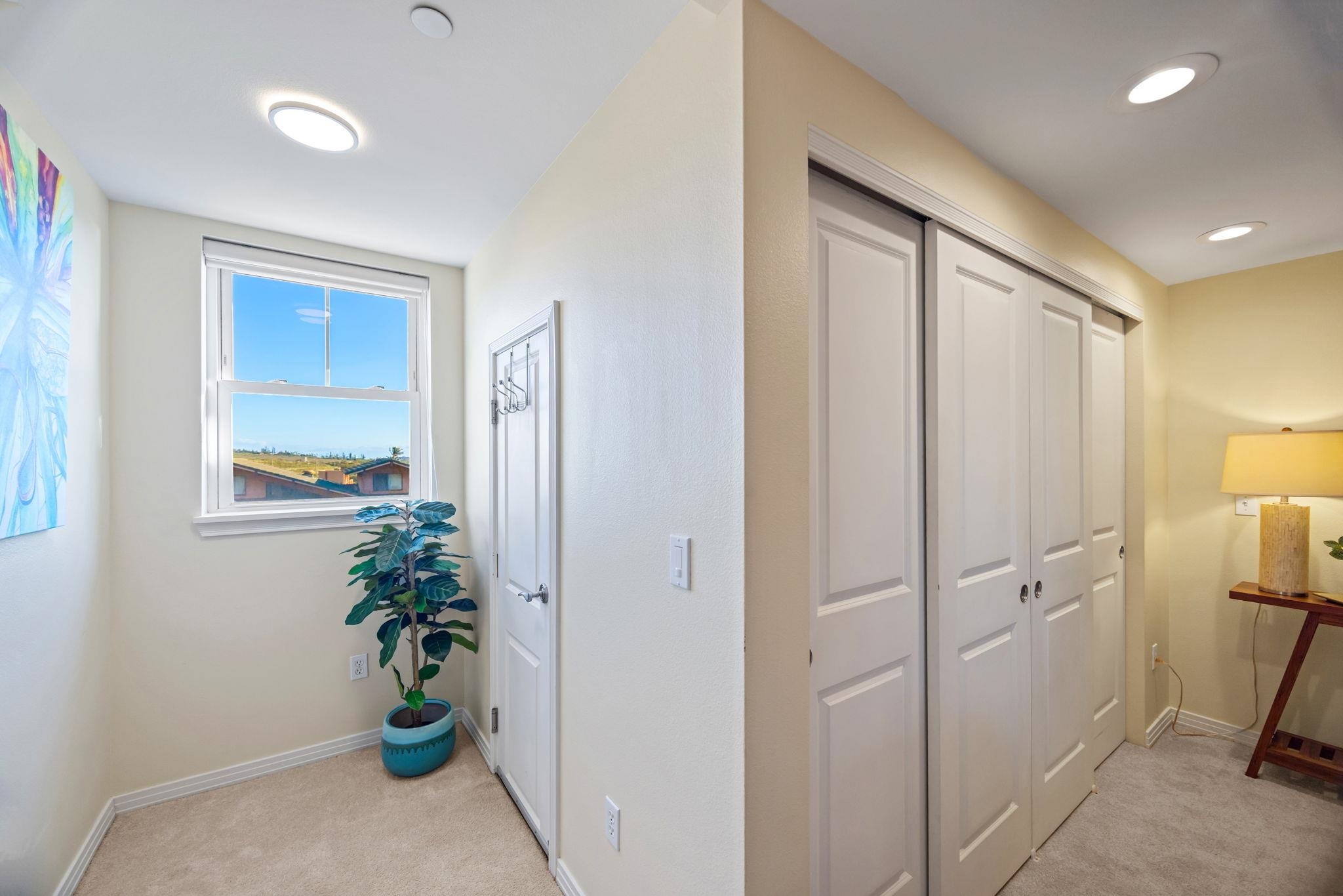 Carpeted bedroom with paneled closet doors, a window, and a potted plant.