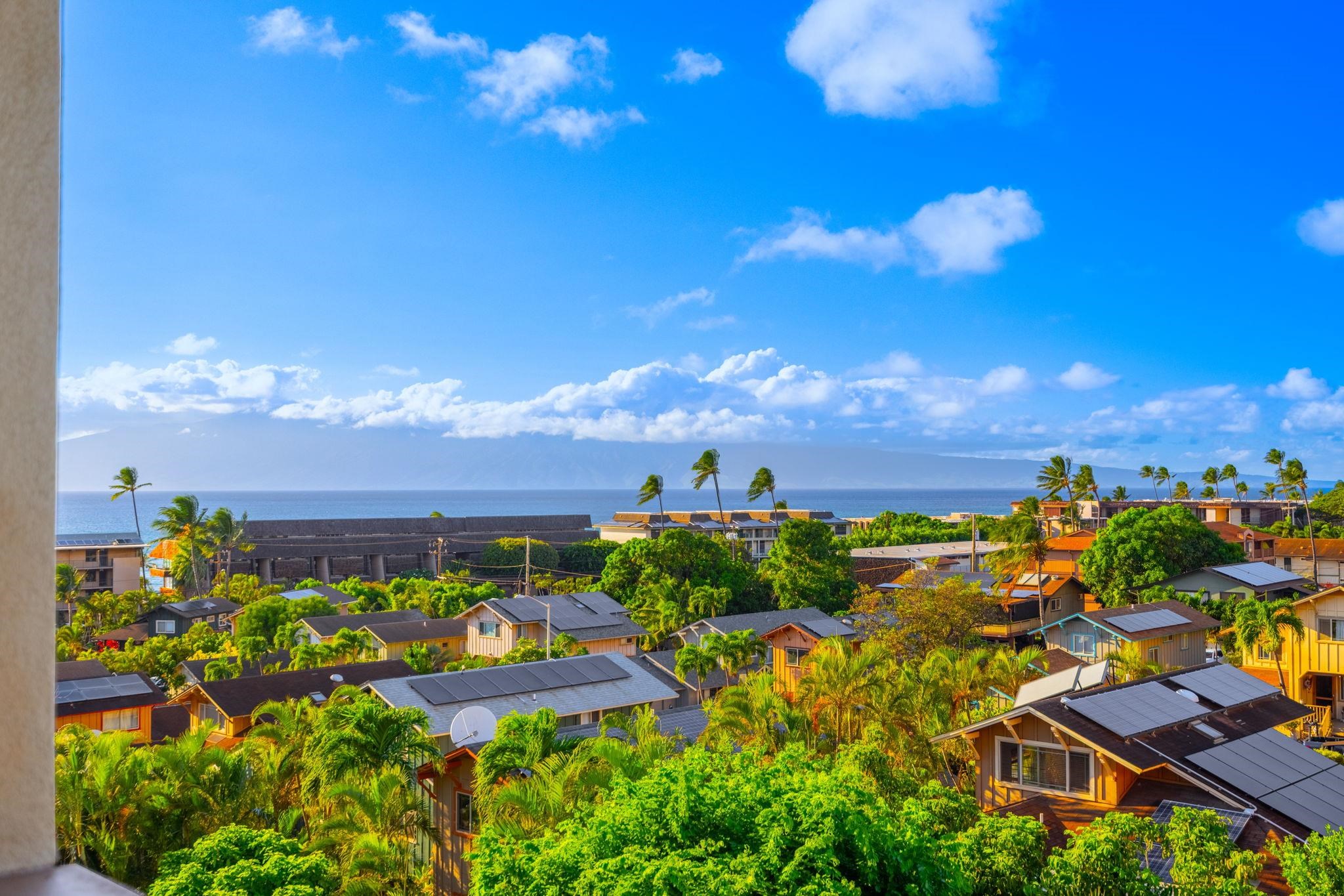 Ocean and distant island view over palm-lined homes with solar-paneled roofs.