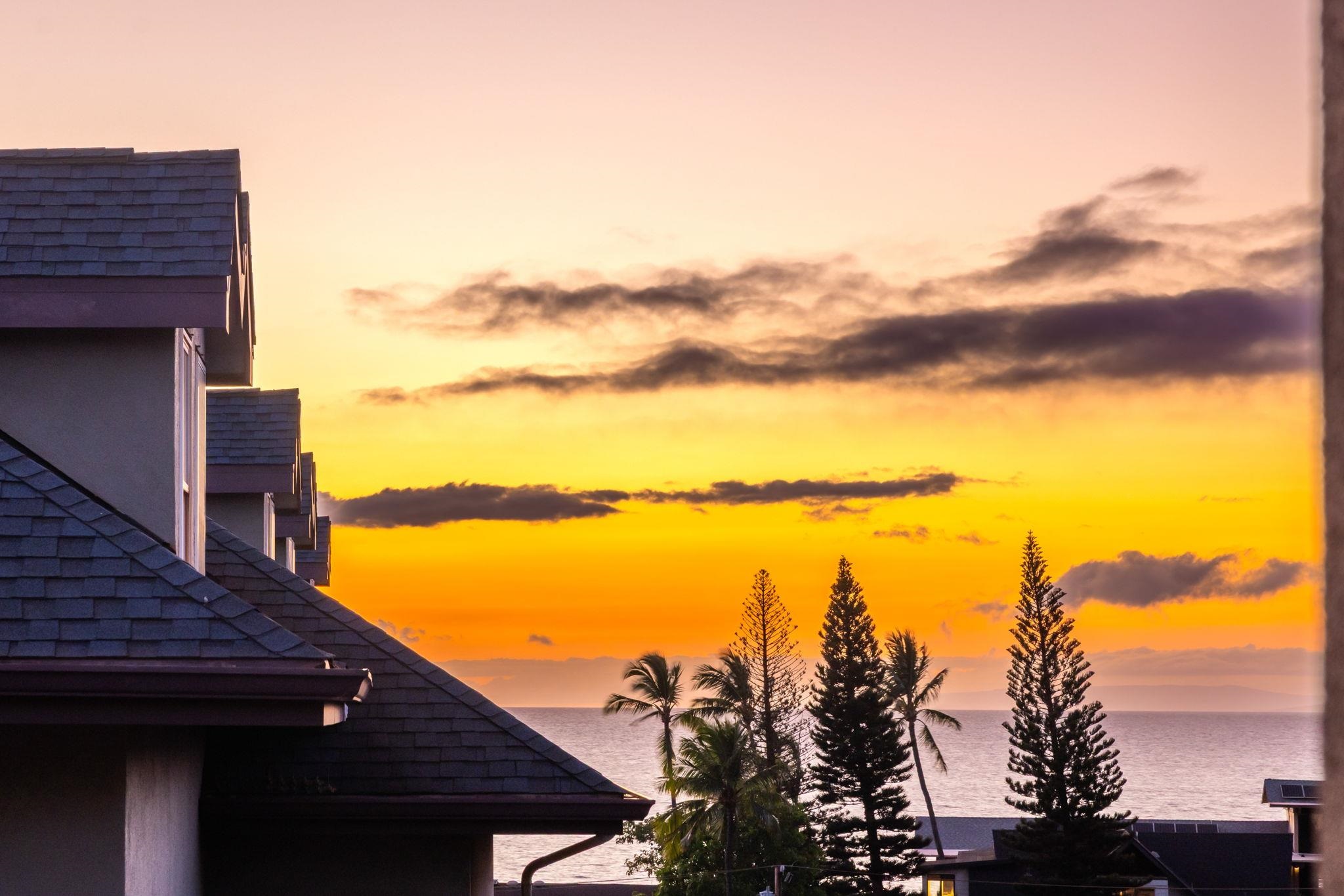 Ocean sunset framed by condominium rooftops and silhouetted tropical palms.