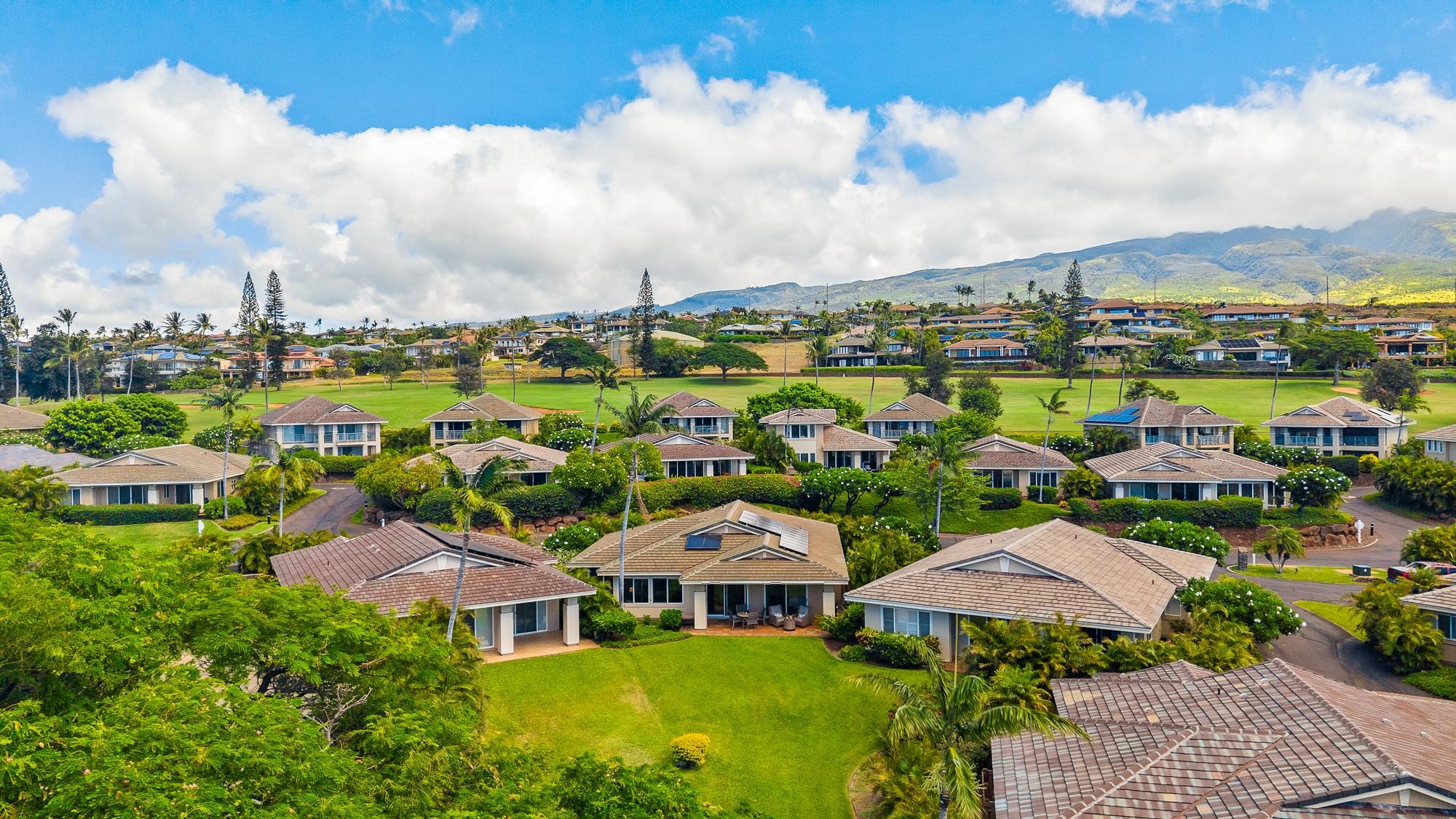 Aerial view of a landscaped home and tropical neighborhood, with mountains in the distance.