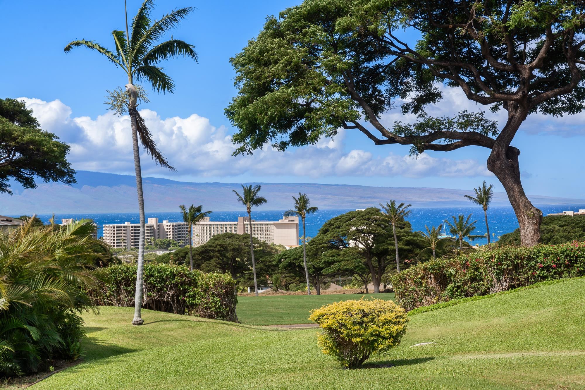 Landscaped grounds with palms overlooking the ocean and a distant island.