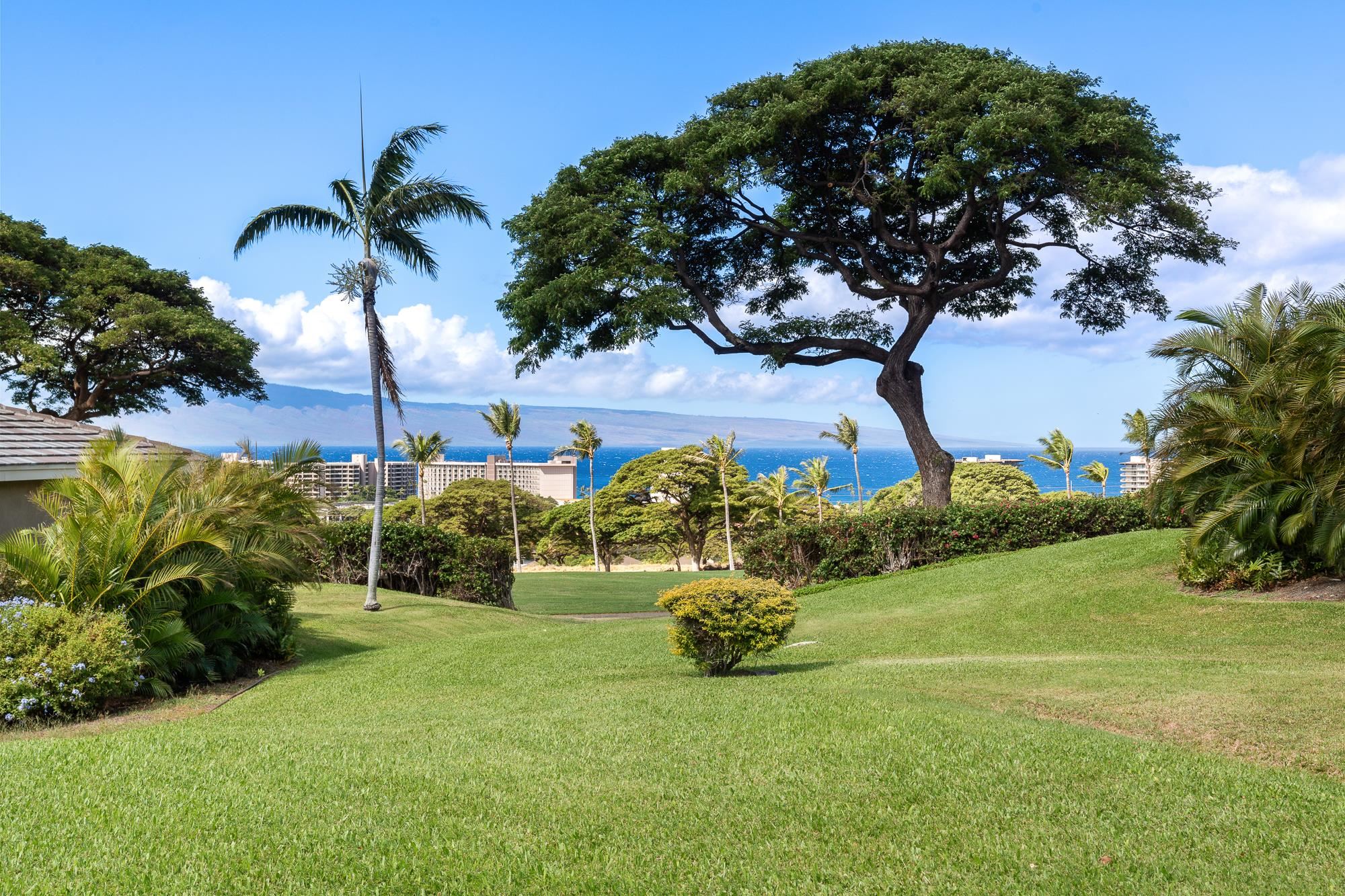 Landscaped lawn with tropical trees overlooking the ocean and a distant island.
