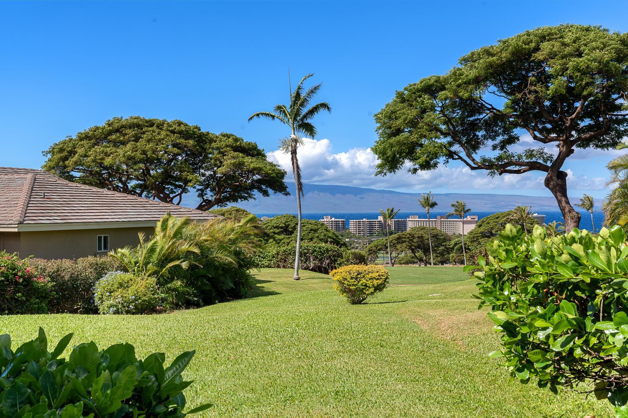 Landscaped lawn framed by tropical trees, with ocean and island views beyond nearby buildings.