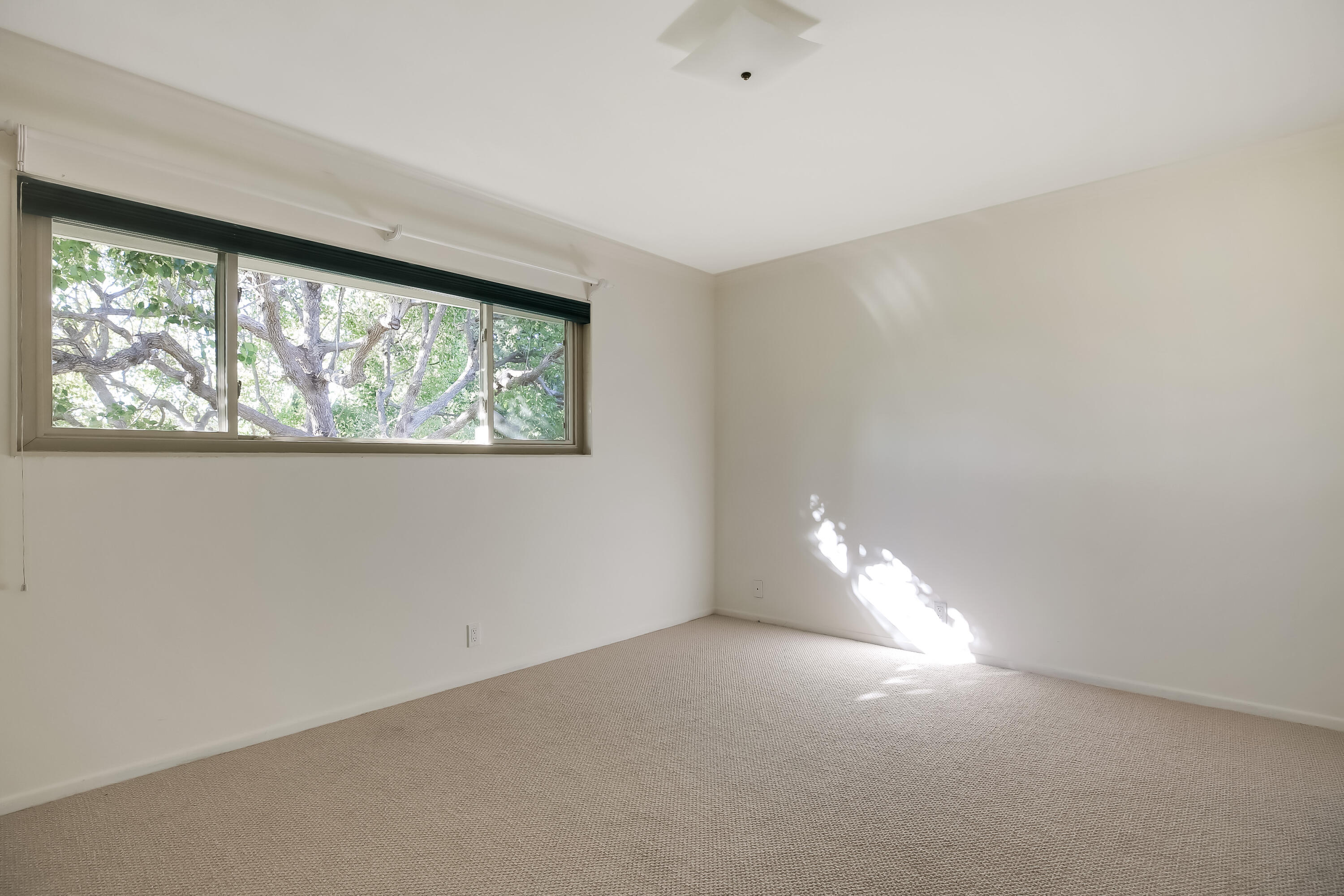 331 Moreton Bay Lane