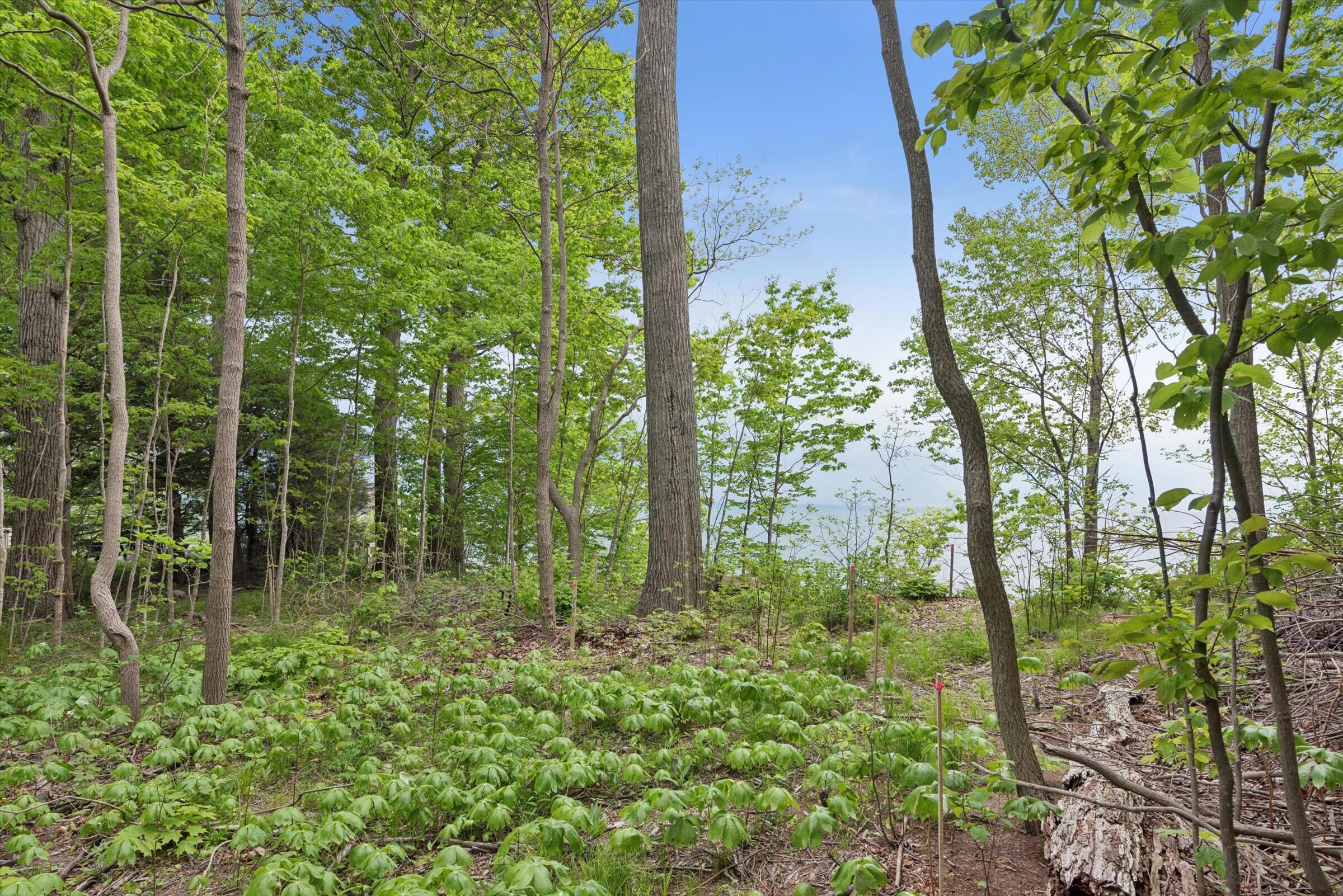 6056 Dune Path