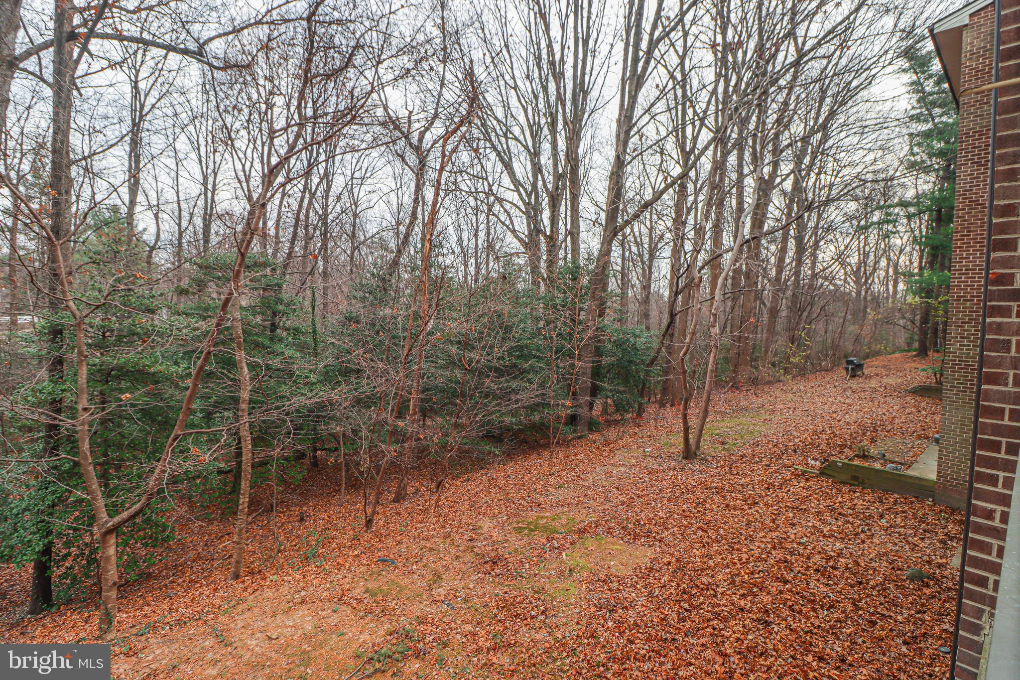 1558 NORTHGATE SQ #1558-11A