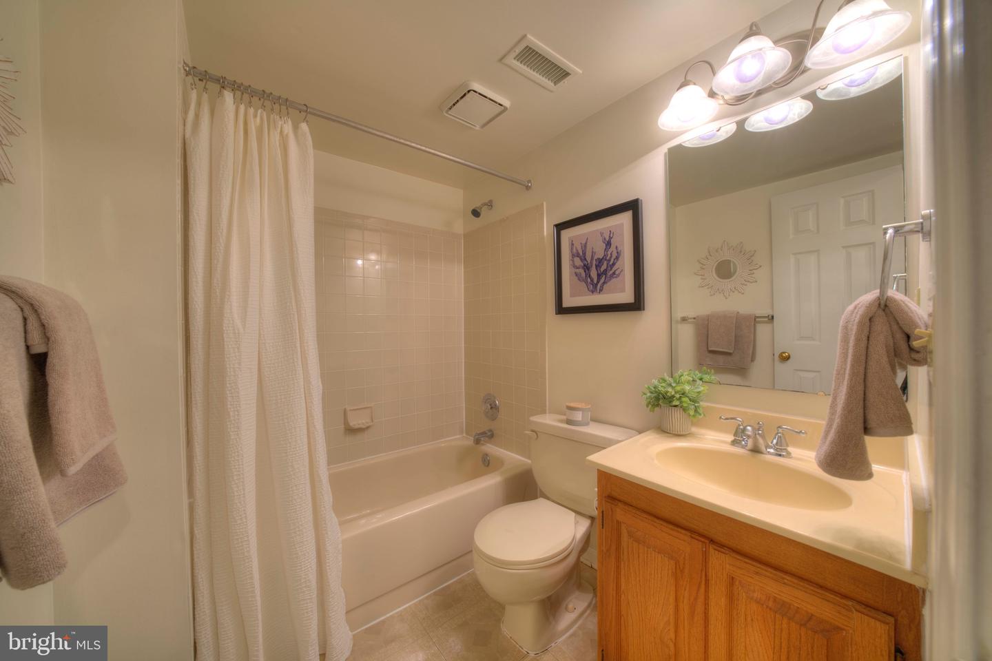 11804 Great Owl Cir