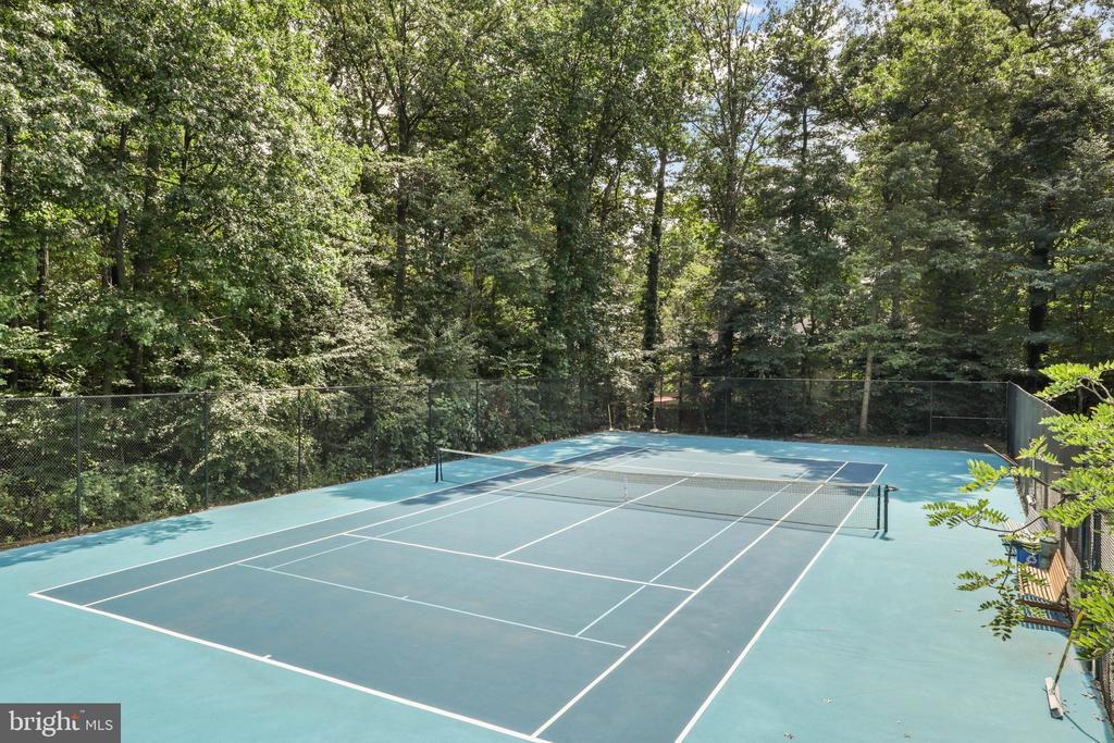 Outdoor tennis court enclosed by fencing and surrounded by dense trees.