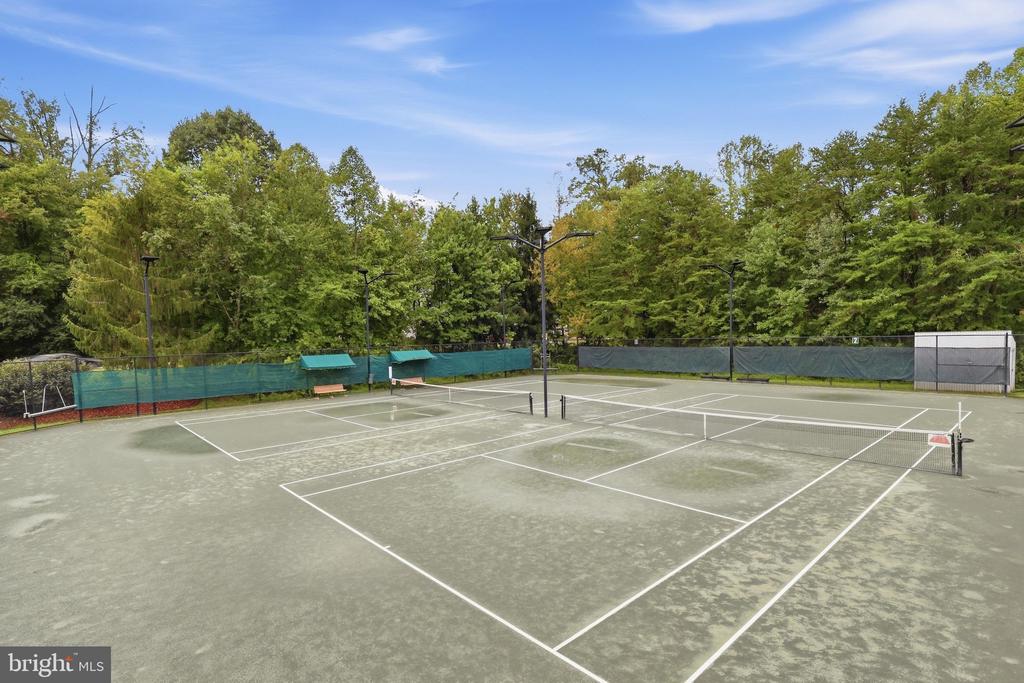Outdoor tennis courts bordered by leafy trees, with multiple nets and tall light poles.