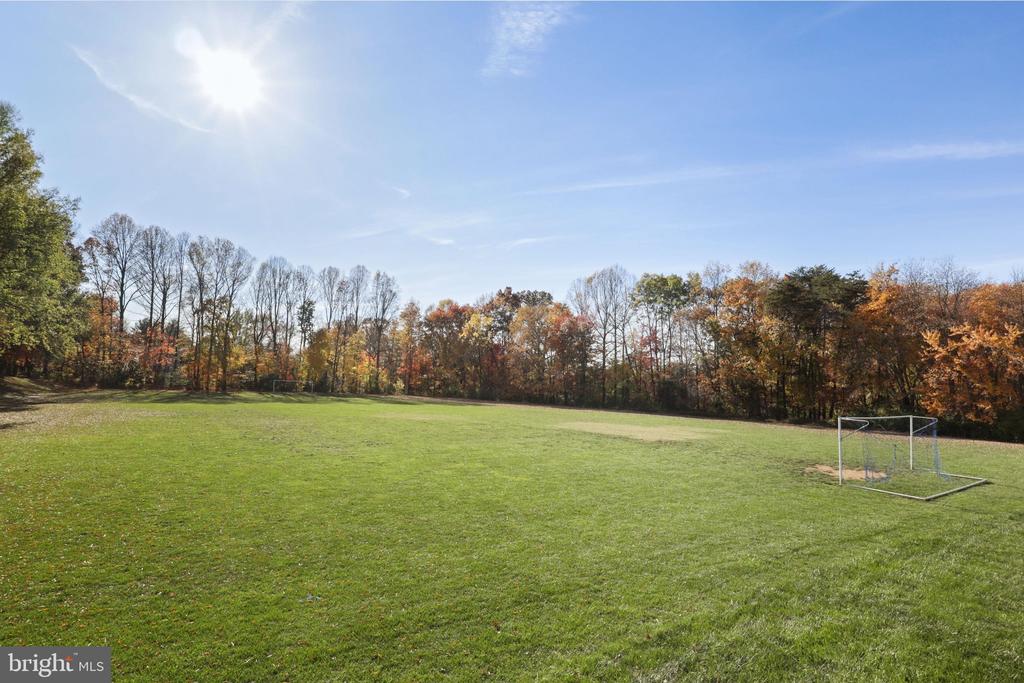 Grassy open field with soccer goals and autumn trees along the horizon.