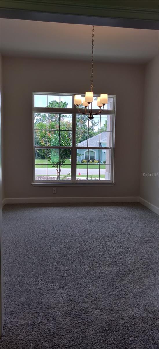 85 VINCA ST