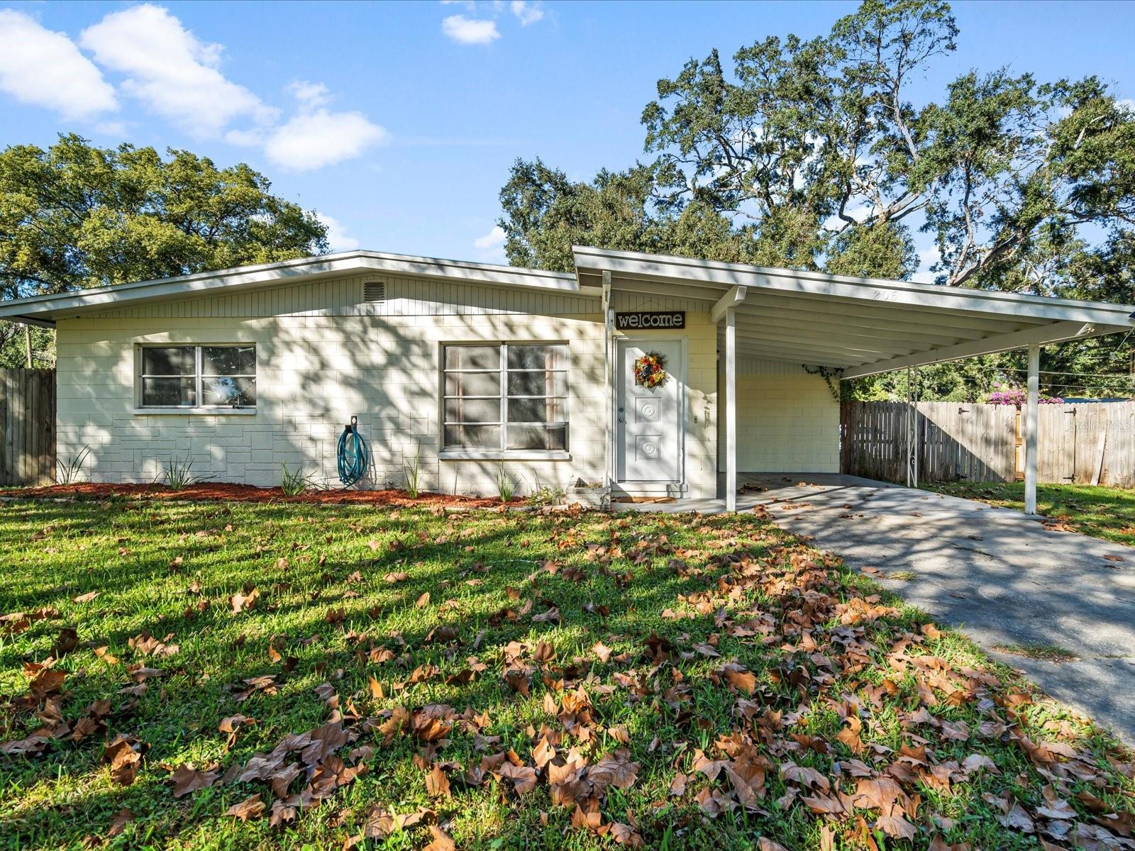 206 PEAK DR