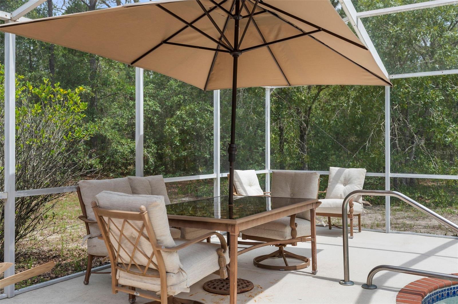 17131 DALBERG DR