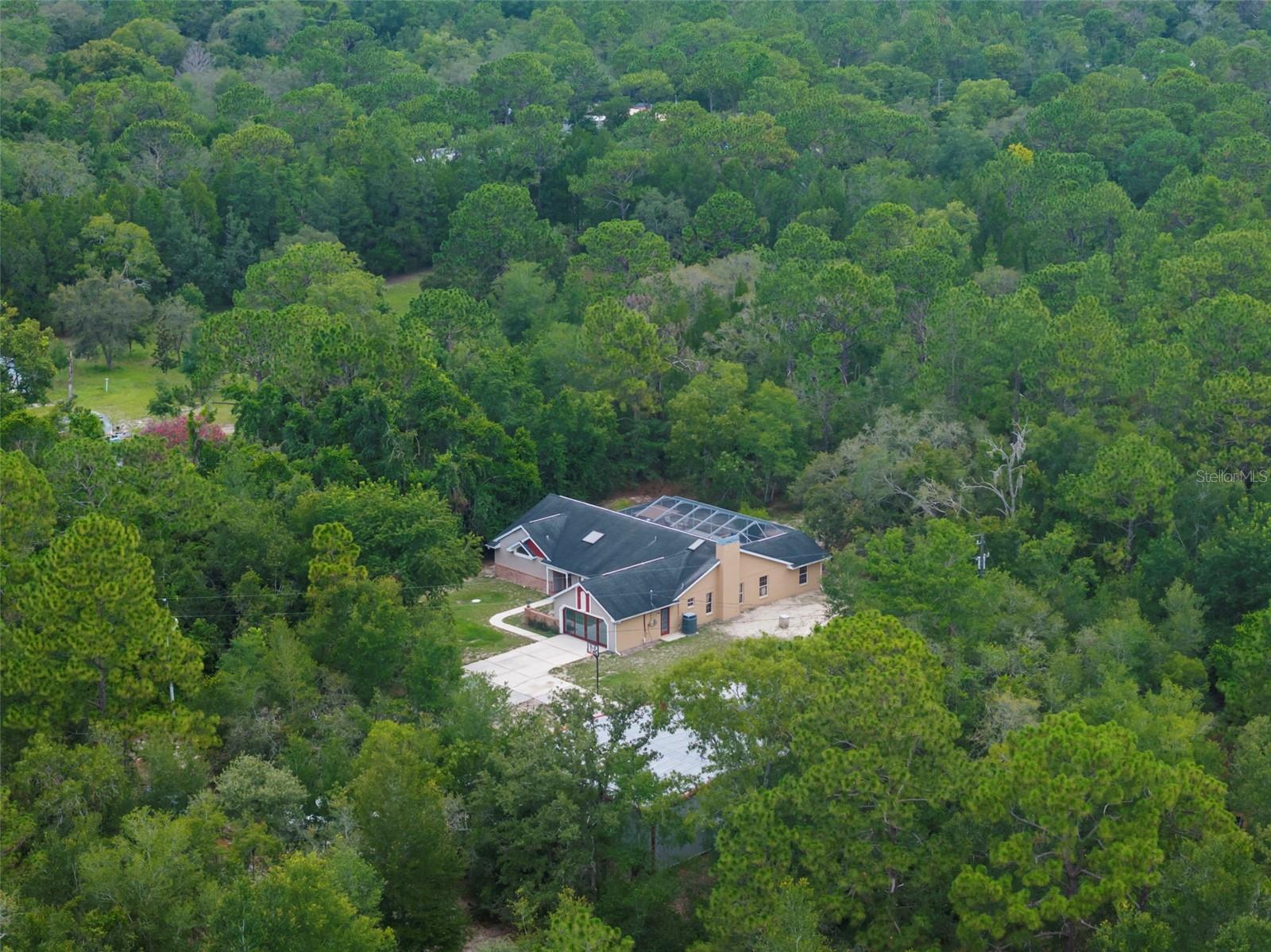 17131 DALBERG DR