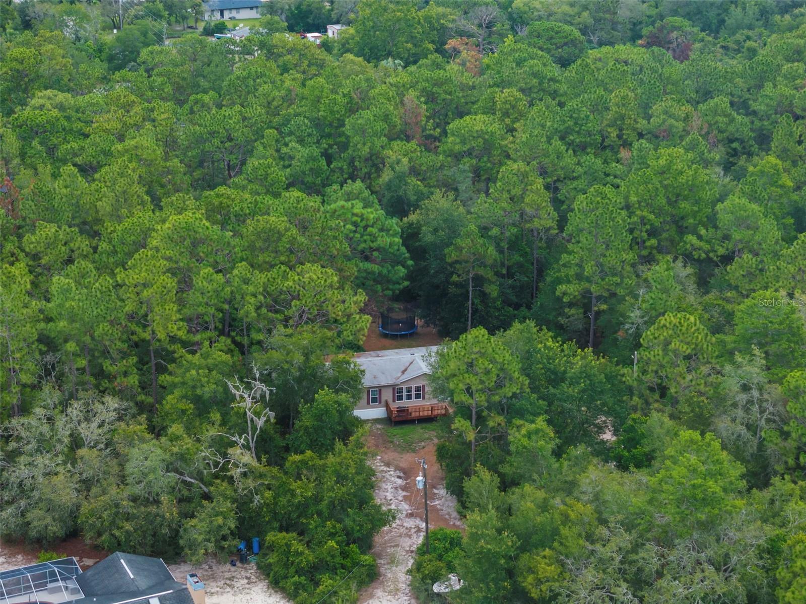 17155 DALBERG DR