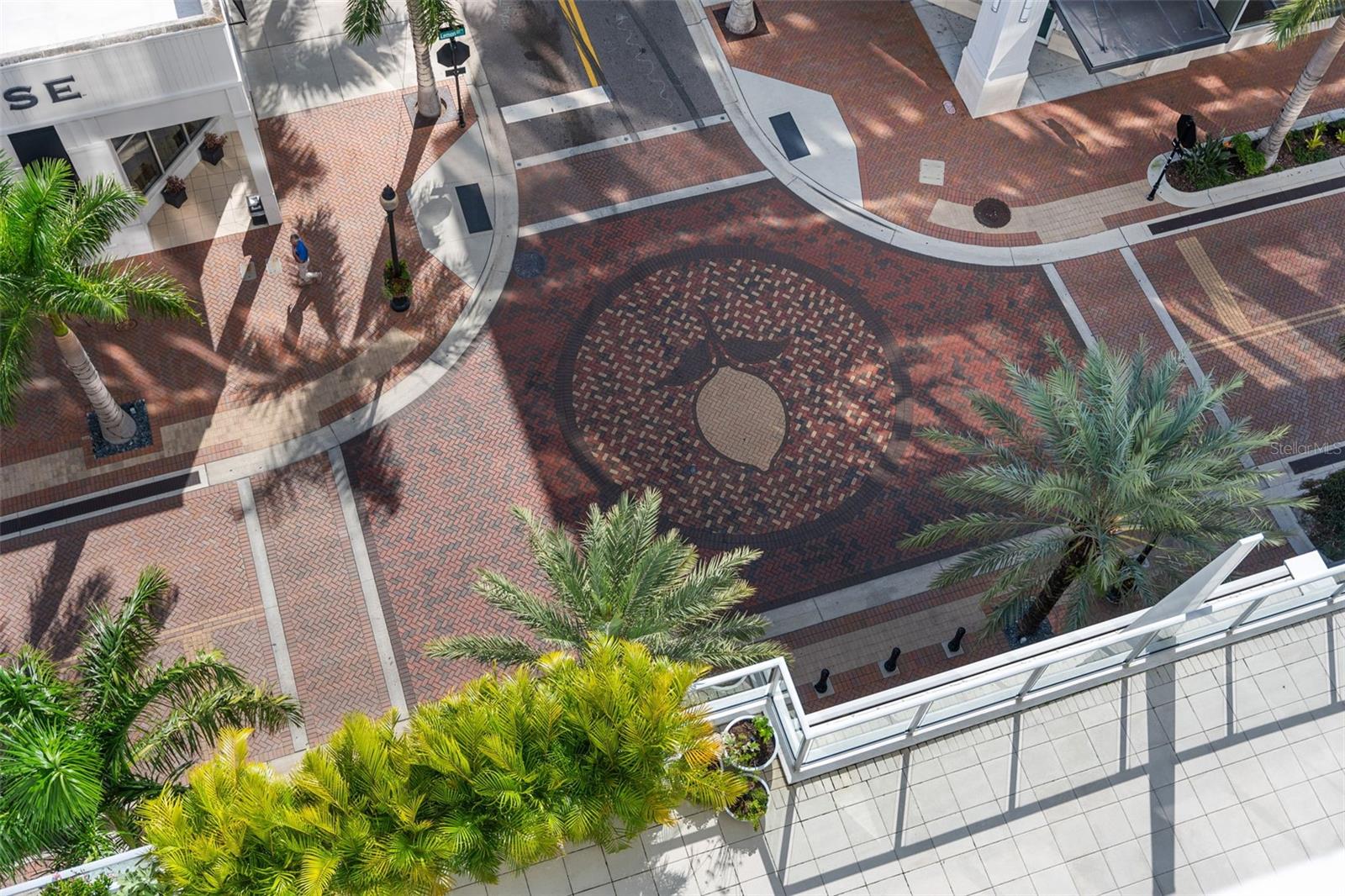 111 S PINEAPPLE AVE #903