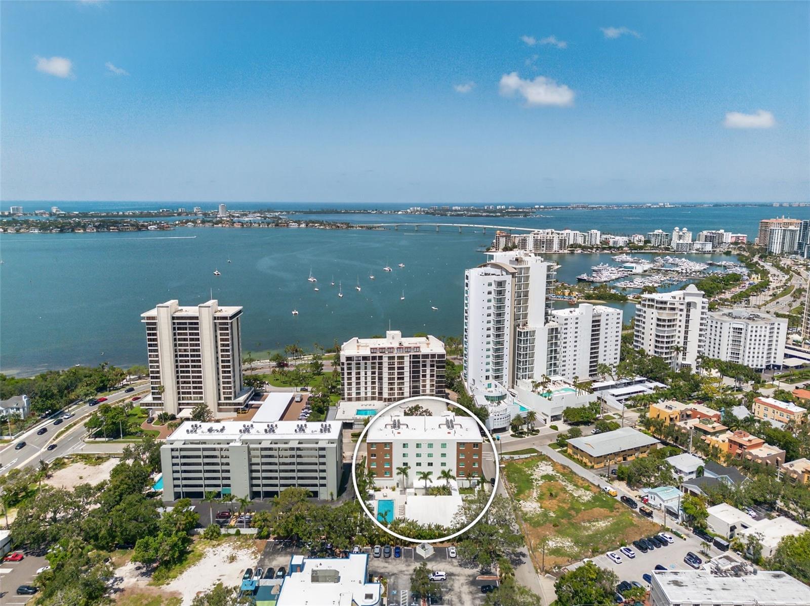 711 S PALM AVE #303