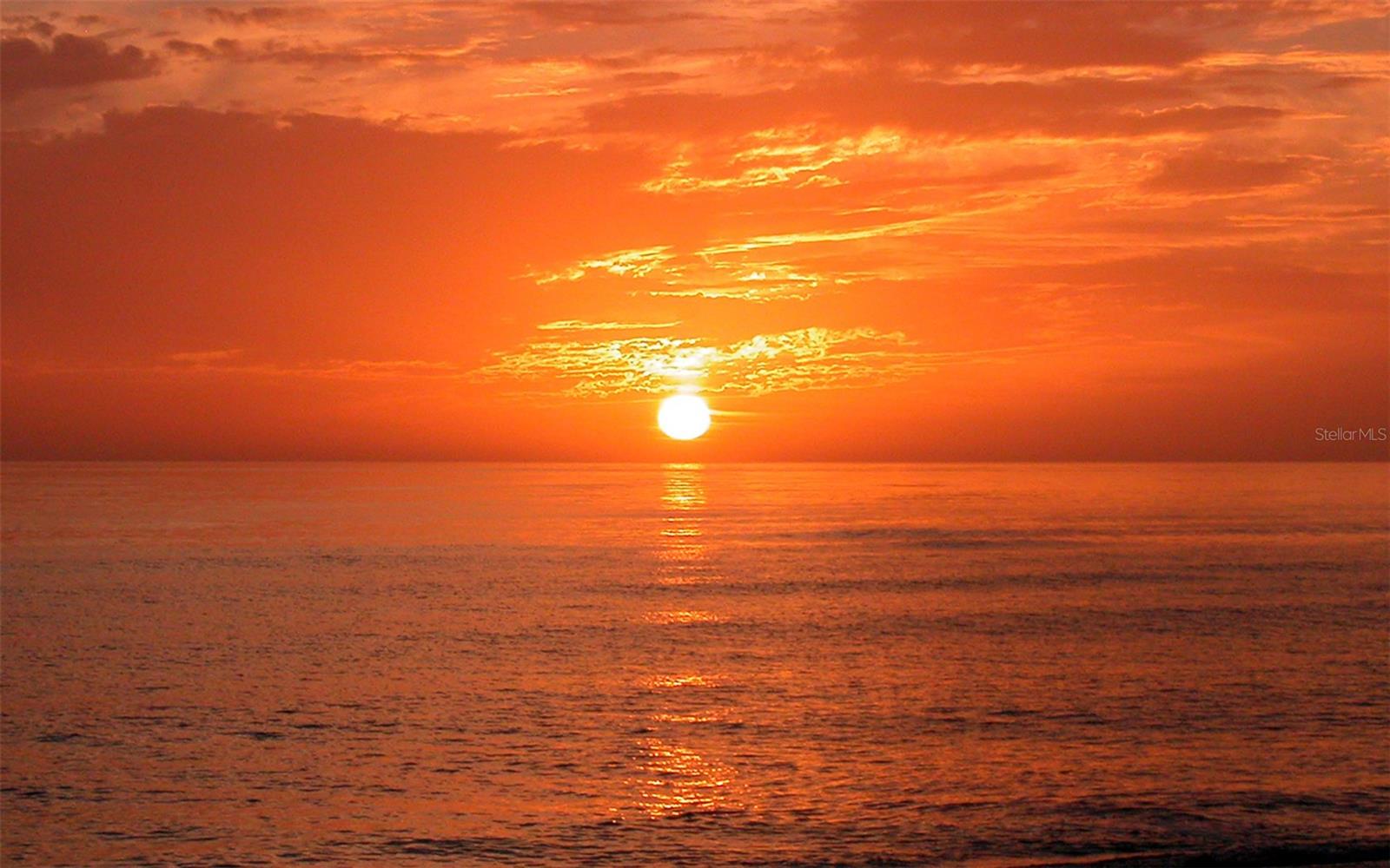 415 L AMBIANCE DR #A801