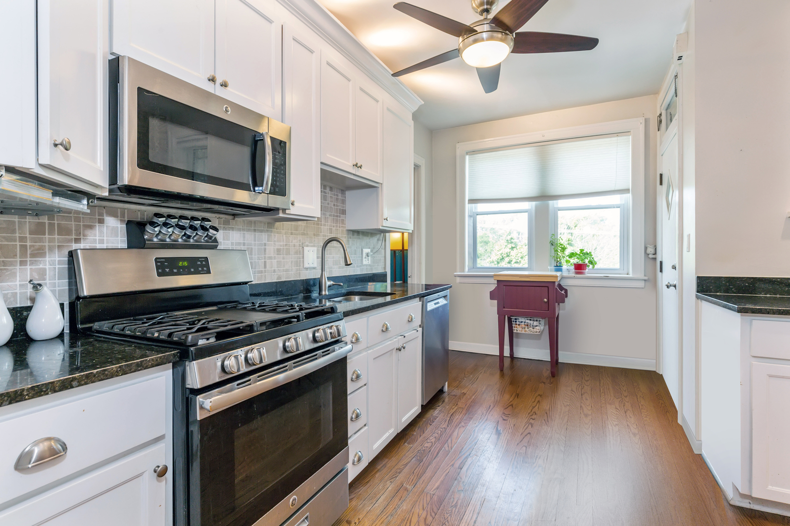 1518 W Thorndale Avenue Unit: 3W