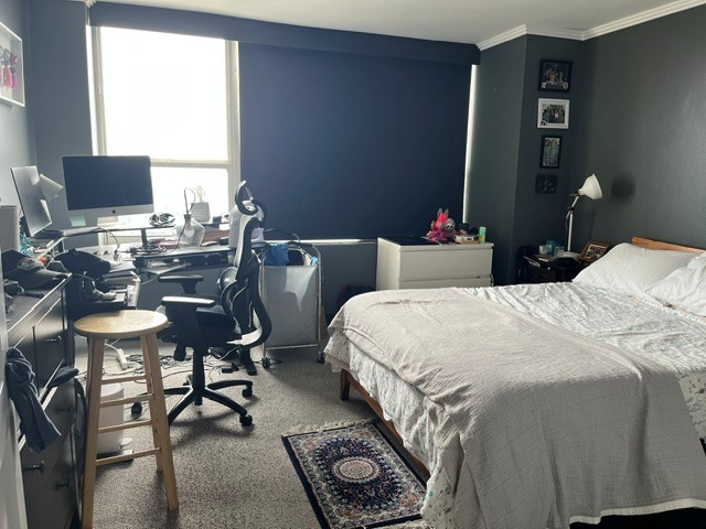 655 W Irving Park Road Unit: 4717