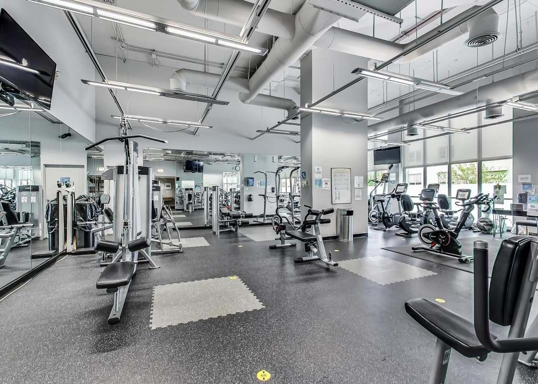 655 W Irving Park Road Unit: 4717