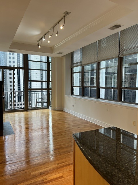 Unfurnished living area with hardwood floors, wide city-facing windows, and a granite kitchen counter.