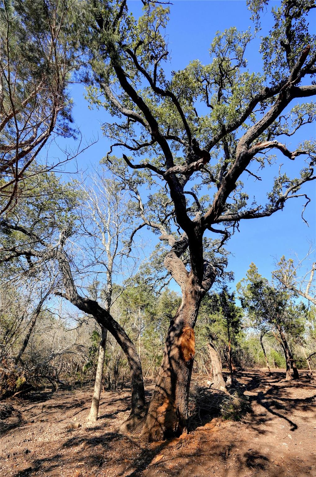 LOT A Ranch Rd 165 RD