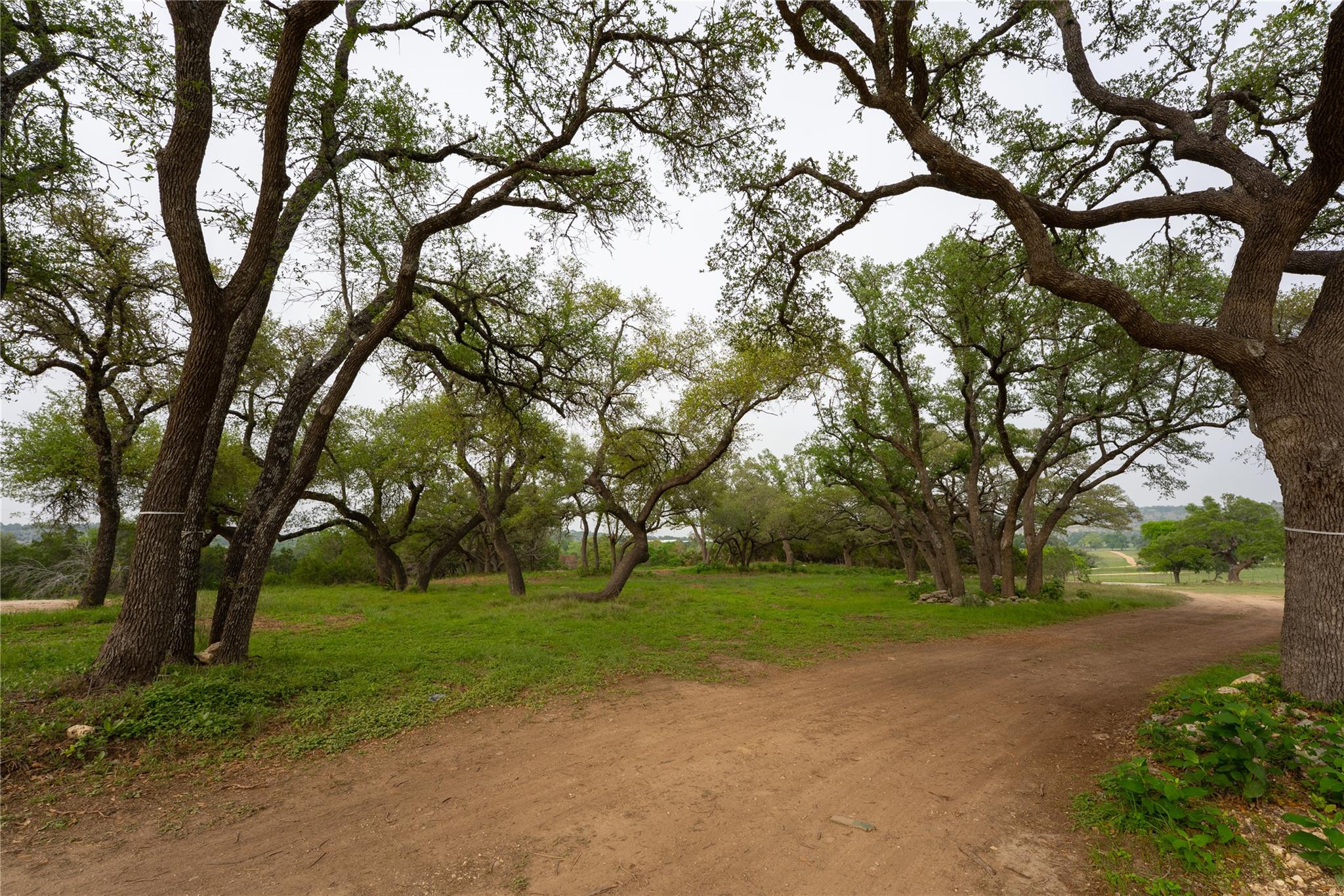 LOT 27 Ranch Road 165