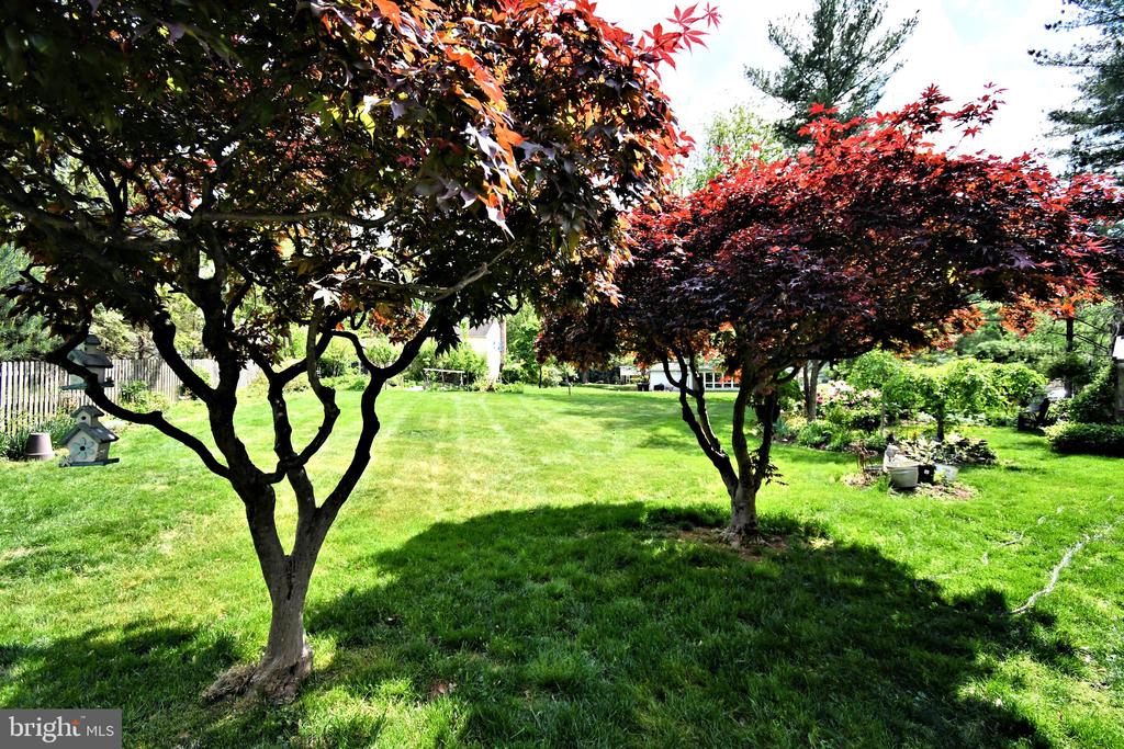 816 GLENN CIRCLE