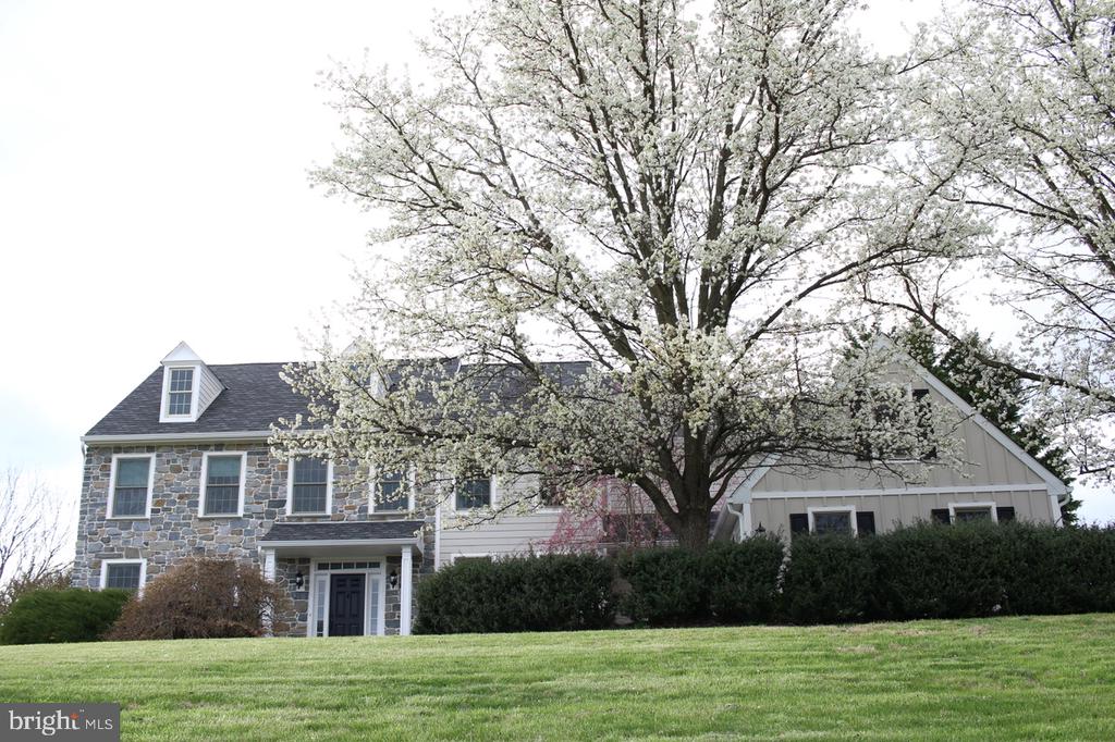 825 BAINBRIDGE DRIVE