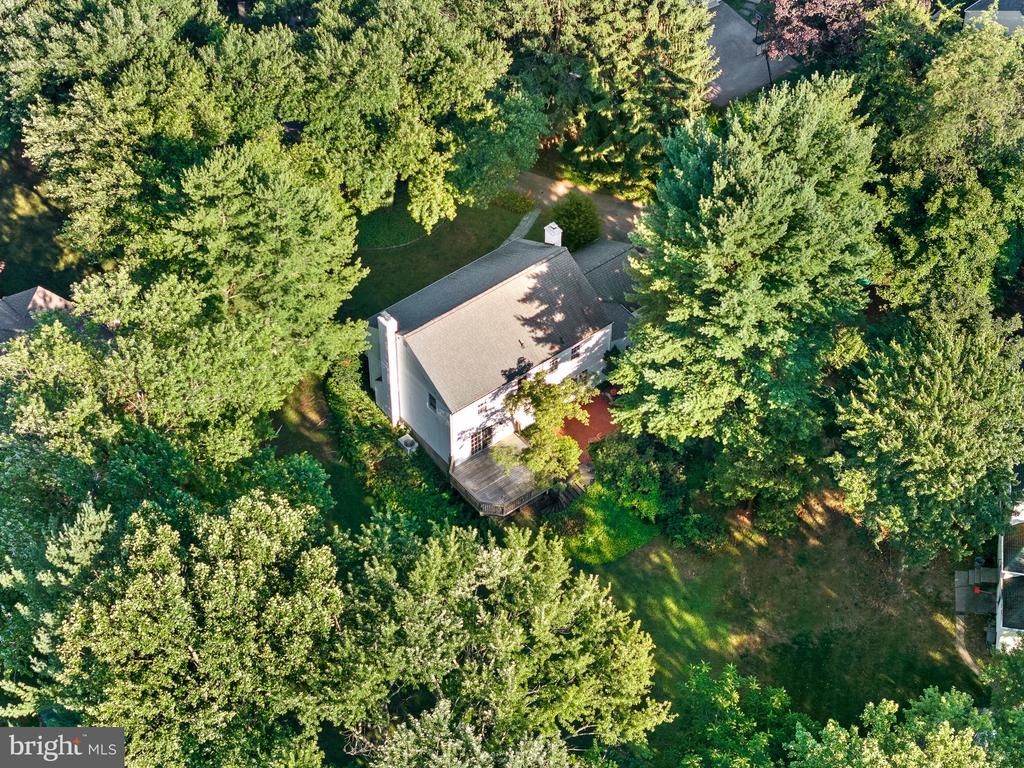 168 WOODED LANE