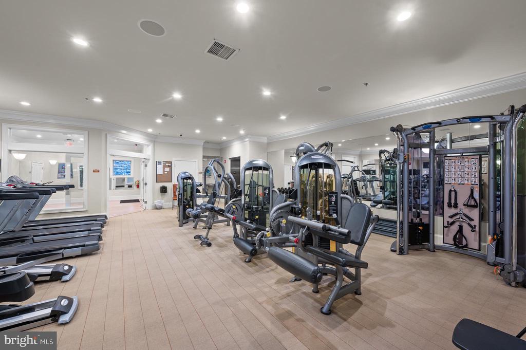 223 CORNERSTONE DRIVE 223